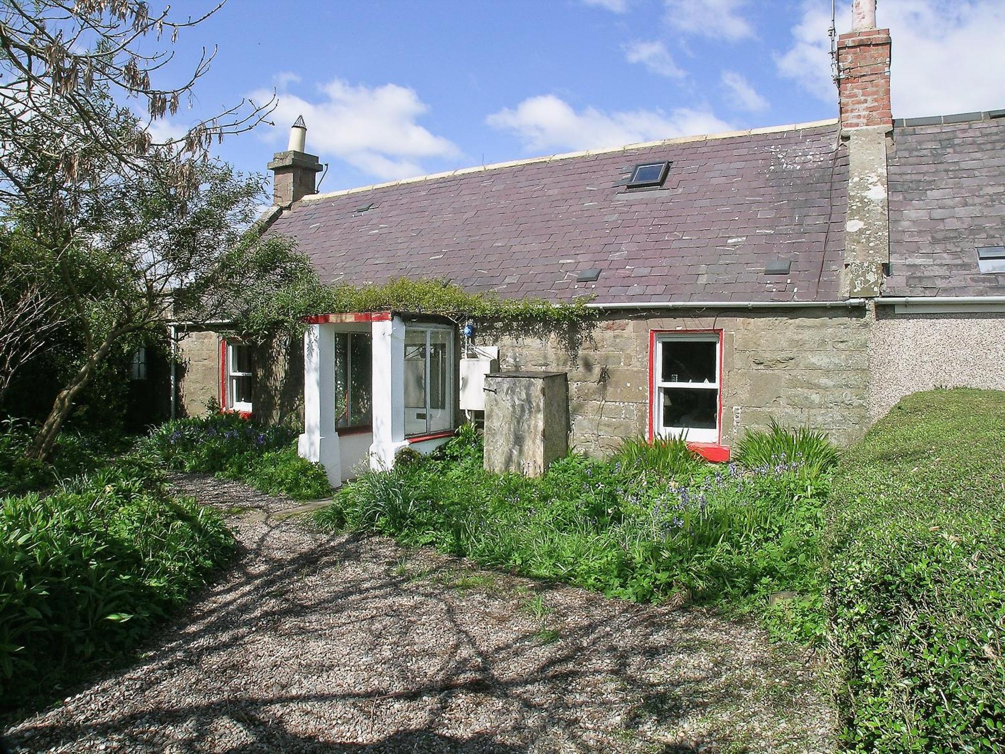 The Cottage Saint Cyrus Exteriör bild